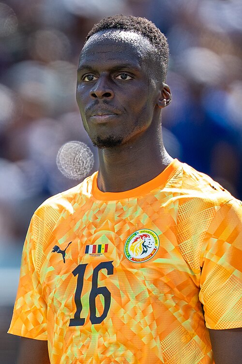 Édouard Mendy