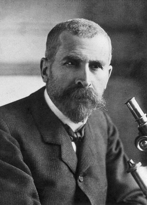 Pierre-Paul Émile Roux
