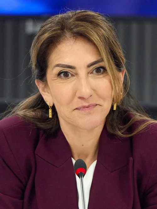 Dilan Yeşilgöz-Zegerius
