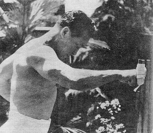 Mas Oyama