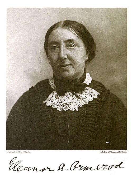 Eleanor Anne Ormerod