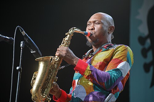 Seun Kuti