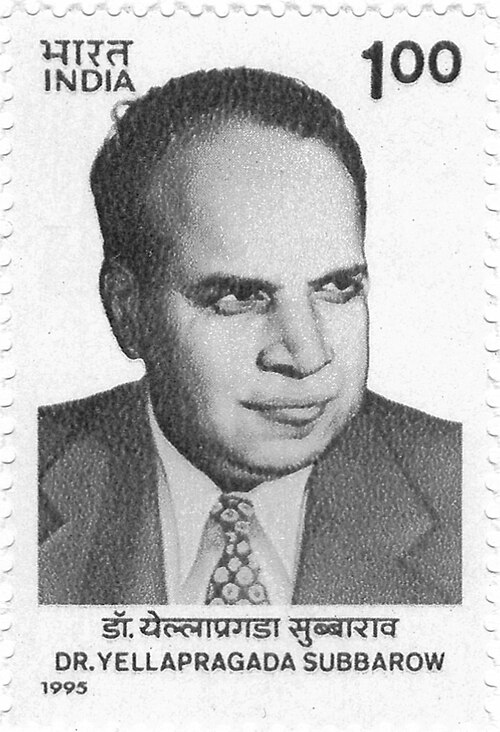 Yellapragada Subbarow