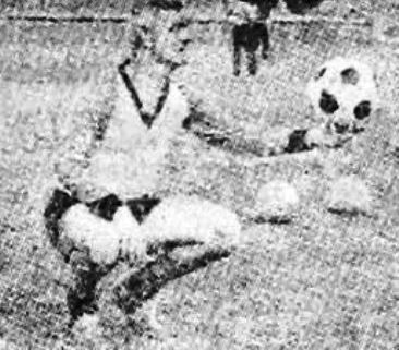Branko Elsner
