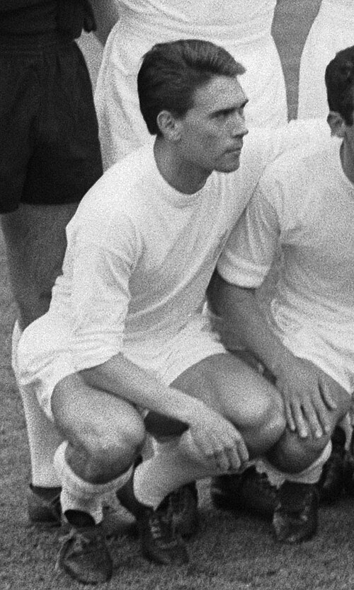 Fernando Serena