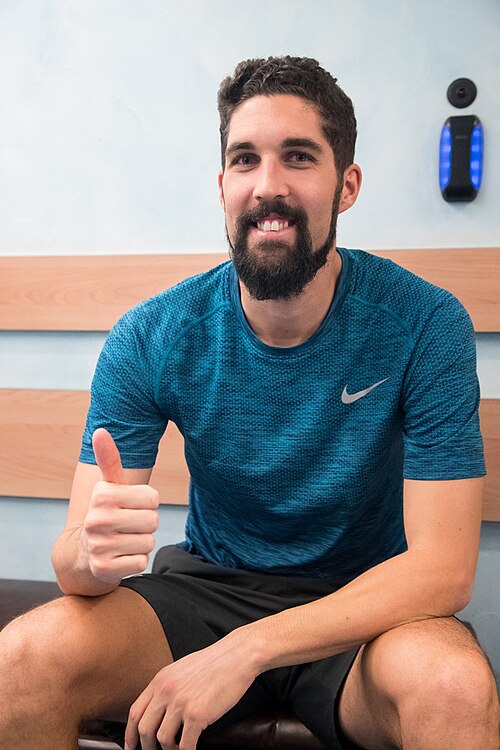Miha Mevlja