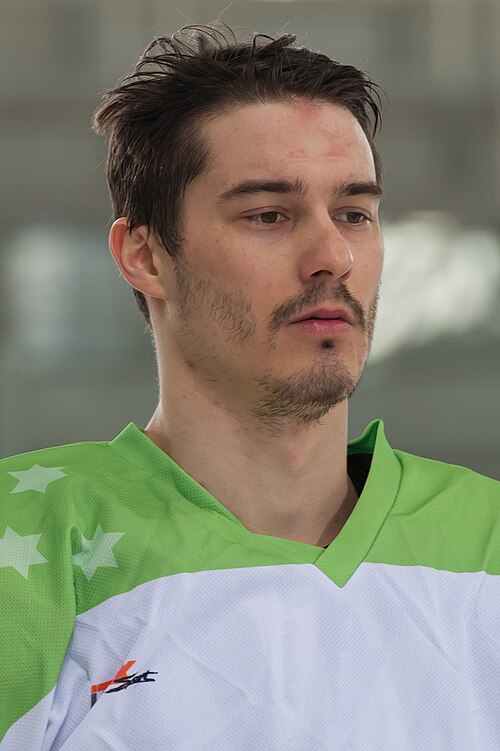 Žiga Pavlin