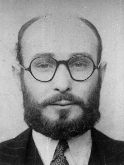Joan Pujol García