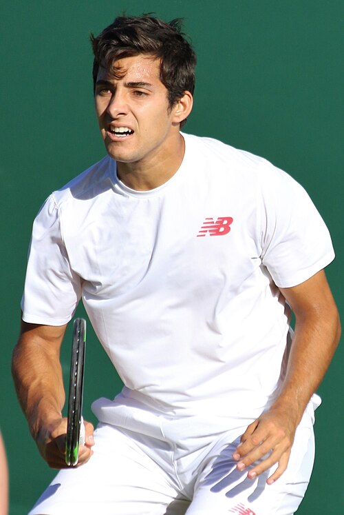 Cristian Garín