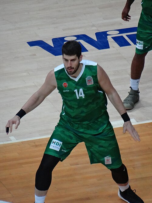Đorđe Gagić