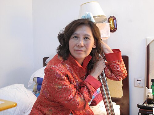 Ni Yulan