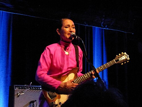 Joan Wasser