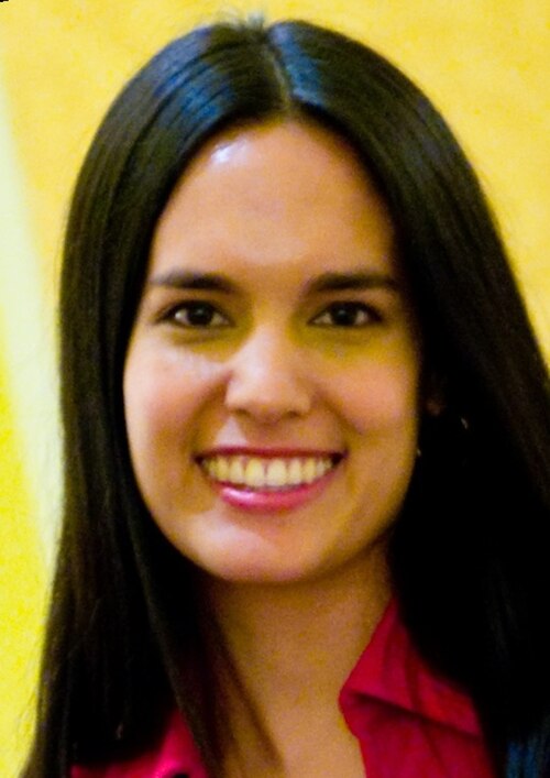 Kristie Lu Stout