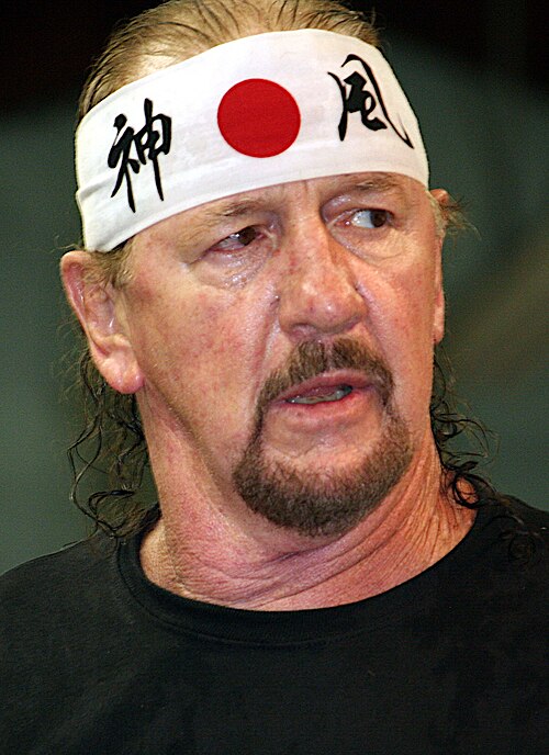 Terry Funk