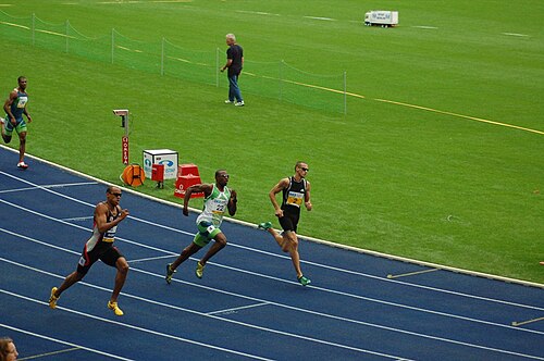 Derrick Brew