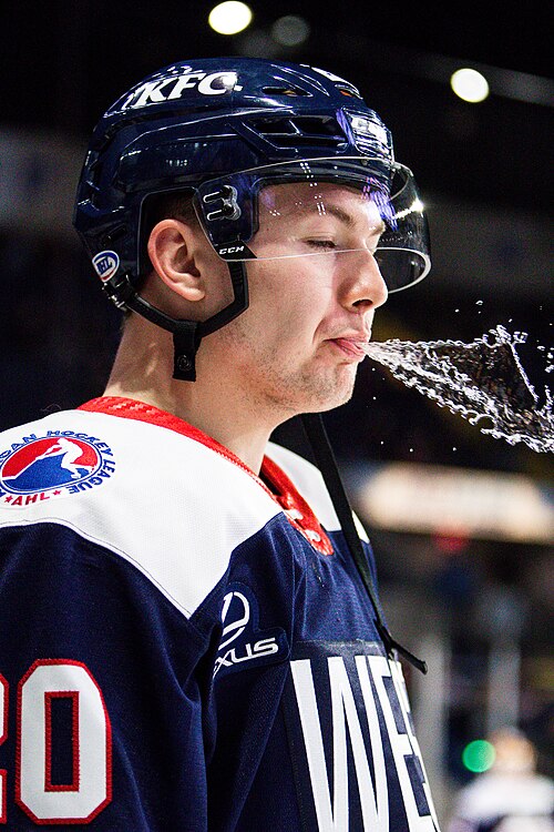 Curtis Lazar