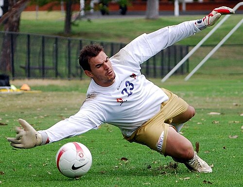 Ante Covic