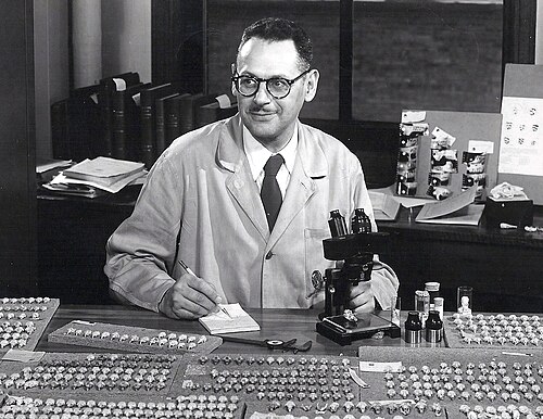 Philip Hershkovitz