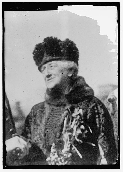 Louisine Havemeyer