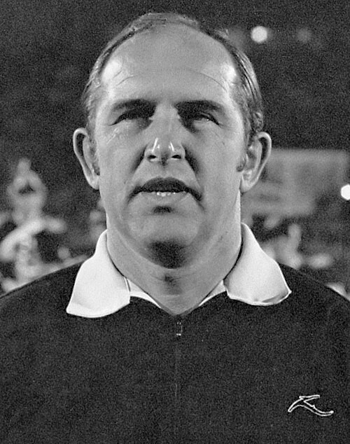 Károly Palotai