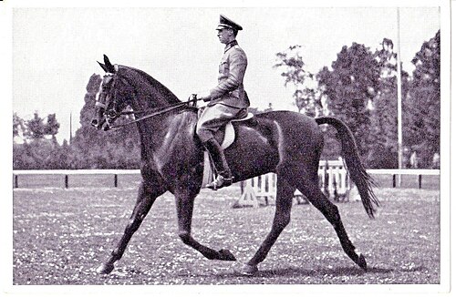 Heinz Pollay