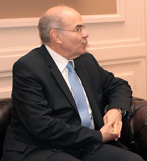 Vasilios Skouris