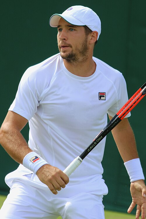 Dušan Lajović