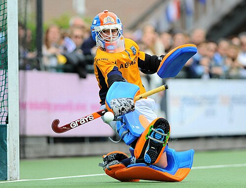 Joyce Sombroek