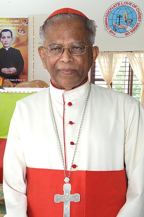 Varkey Vithayathil