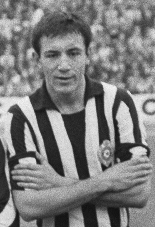 Branko Rašović