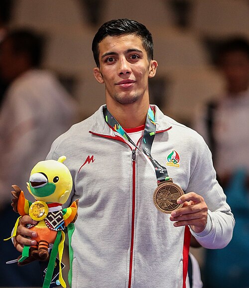 Mohammad Reza Geraei