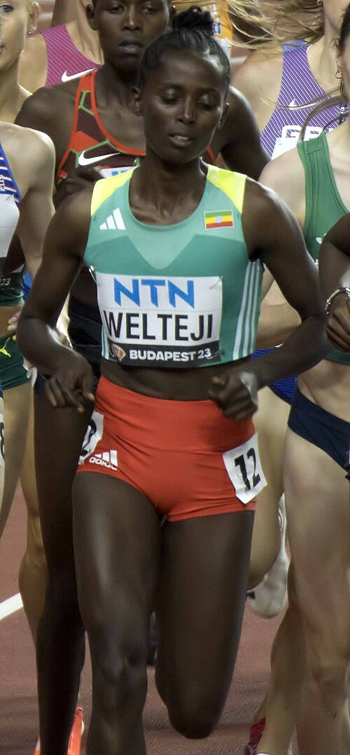 Diribe Welteji