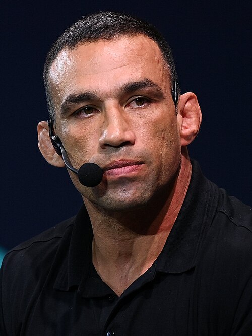Fabrício Werdum