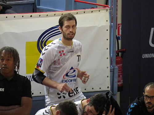 Damir Bičanić