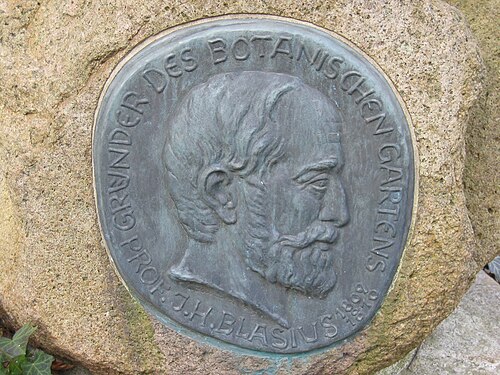 Johann Heinrich Blasius
