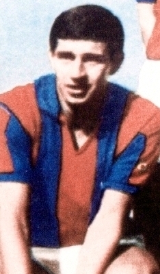 Mario Chaldú