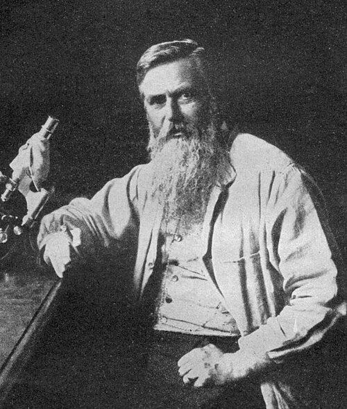 Otto Bütschli