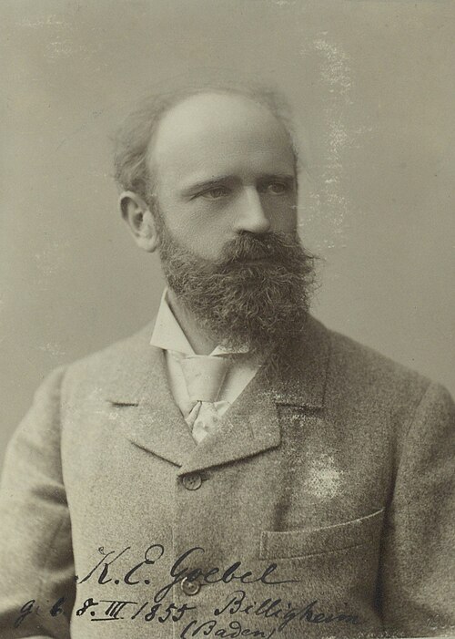 Karl Everhard Goebel