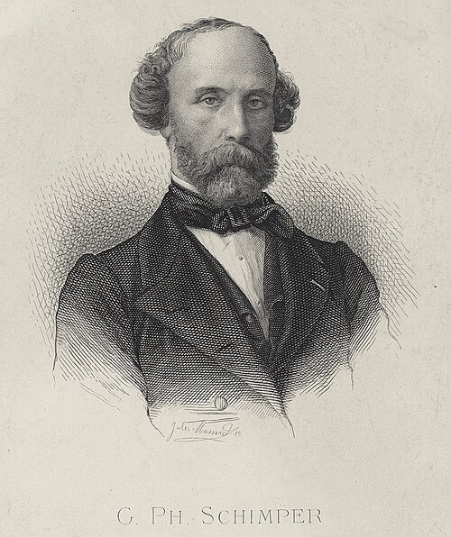 Wilhelm Philippe Schimper