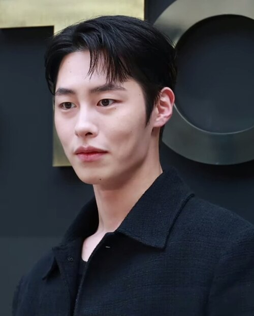 Lee Jae-wook