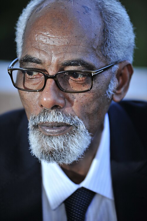 Mohamed Osman Jawari