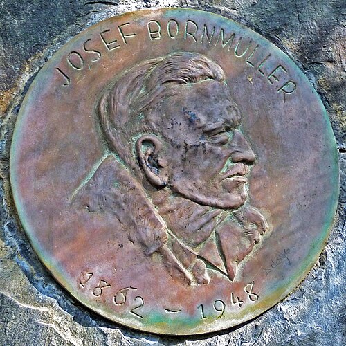 Joseph Friedrich Nicolaus Bornmüller
