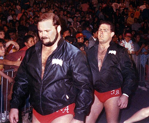 Arn Anderson