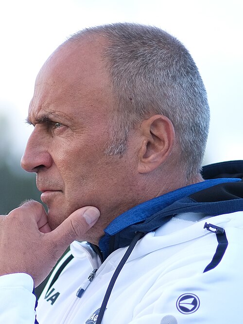 Darko Milanič