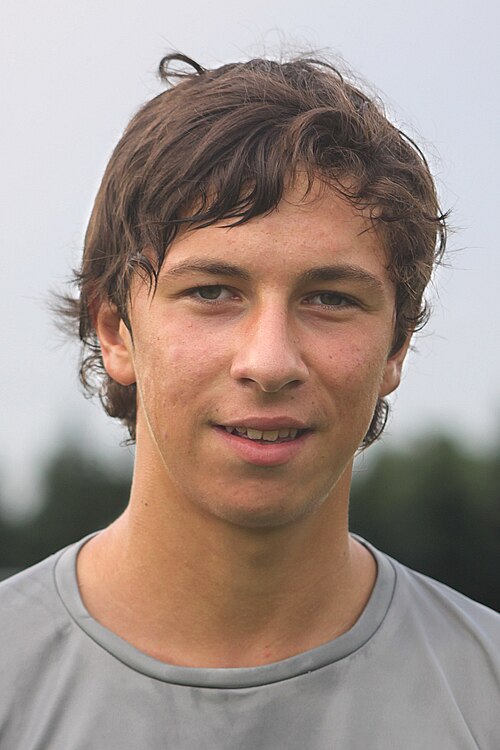 Robert Žulj