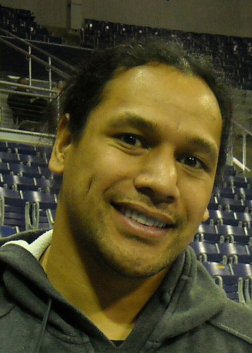 Troy Polamalu