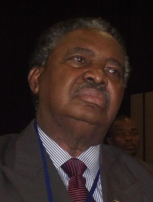 Phelekezela Mphoko