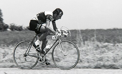 Fausto Bertoglio