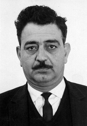 Emile Habibi