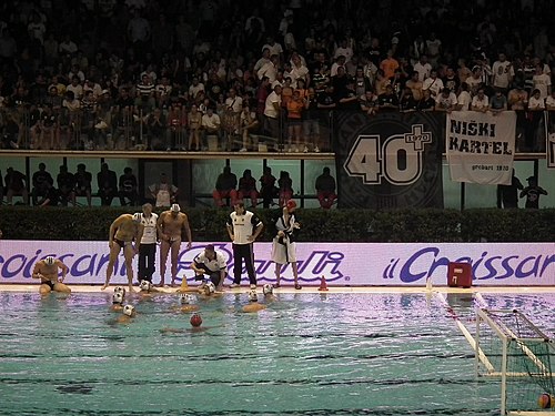 Igor Milanović